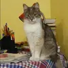 Отзыв от Лариса Кукушкина